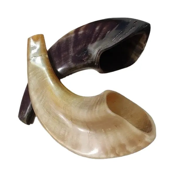 Shofar Prices South Africa Best Shop www.meesenburg.kz