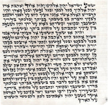 Load image into Gallery viewer, KOSHER MEZUZAH SCROLL מזוזות פויגל  כתב ארי&#39; נבדק ע&#39;&#39;י מחשב וע&#39;&#39;י בודק מומחה each mezuzah is listed separately SIZE 10 CM 15 cm מזוזות פויגל
