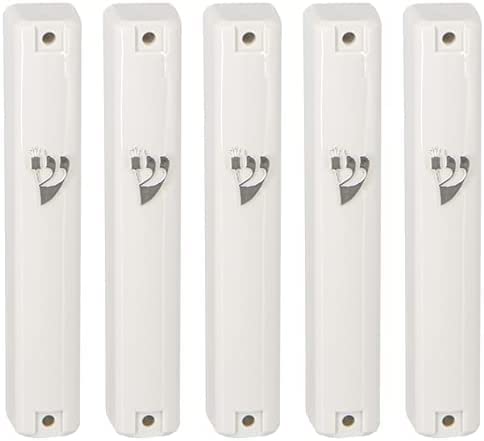 plastick mezuzah case clear and white